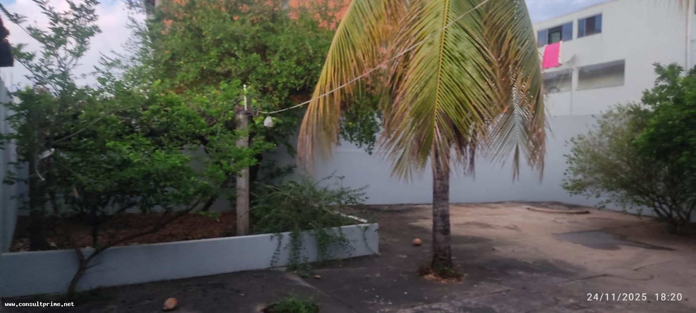 Casa, 3 quartos - Foto 14